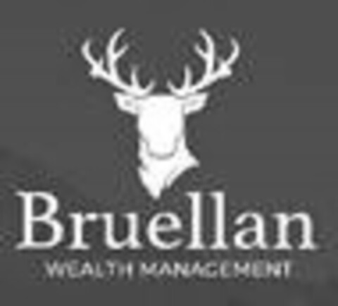 Bruellan Logo (IGE, 13.03.2018)