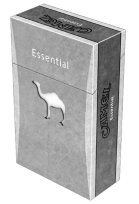 CAMEL Essential Logo (IGE, 09/09/2009)