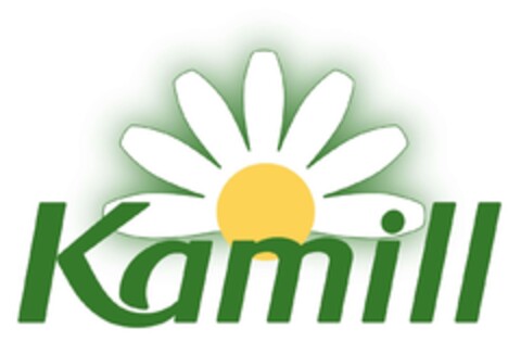 Kamill Logo (IGE, 05/08/2023)