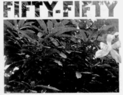 FIFTY-FIFTY Logo (IGE, 16.12.1996)