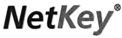 NetKey Logo (IGE, 07.06.2000)