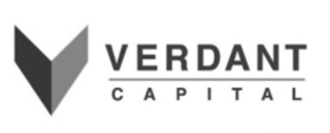 VERDANT CAPITAL Logo (IGE, 31.01.2018)