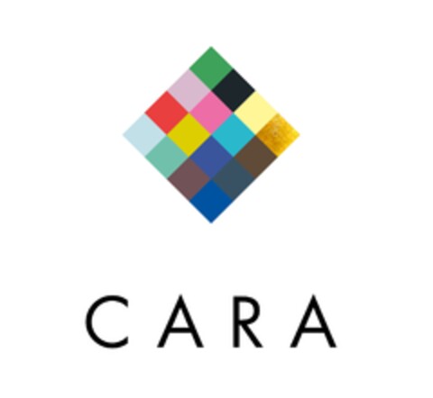 CARA Logo (IGE, 17.07.2018)