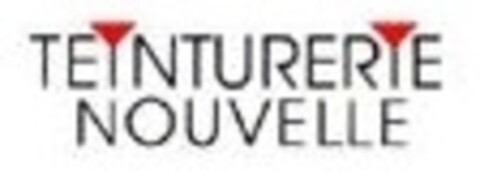 TEINTURERIE NOUVELLE Logo (IGE, 09.07.2004)