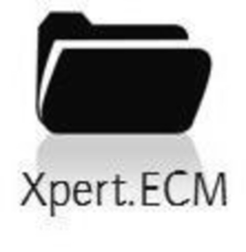 Xpert.ECM Logo (IGE, 01.02.2011)