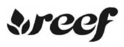 reef Logo (IGE, 05.10.2007)