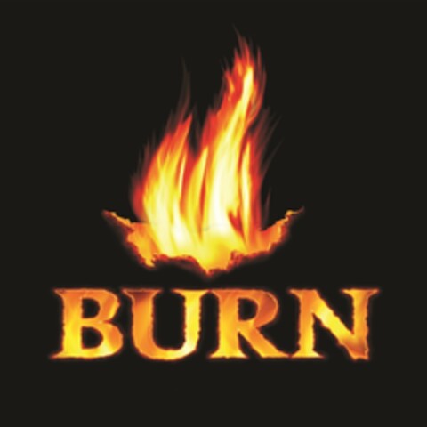 BURN Logo (IGE, 05.10.2017)