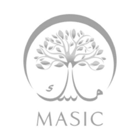 MASIC Logo (IGE, 12/22/2020)