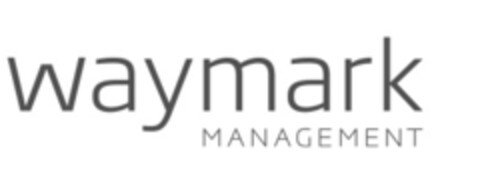 waymark MANAGEMENT Logo (IGE, 02.01.2013)