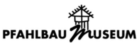 PFAHLBAU MUSEUM Logo (IGE, 03/11/2009)