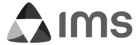 ims Logo (IGE, 08.11.2013)