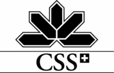CSS Logo (IGE, 03.03.2006)