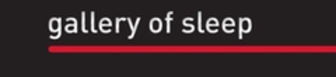 gallery of sleep Logo (IGE, 05.08.2008)