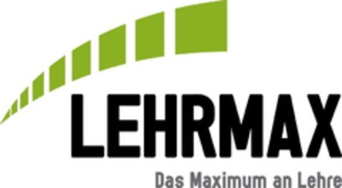 LEHRMAX Das Maximum an Lehre Logo (IGE, 09/21/2009)