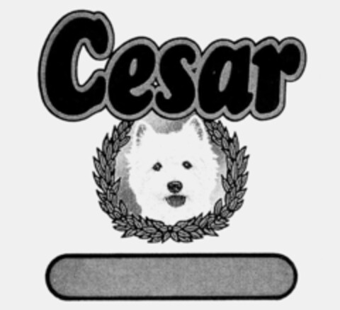 Cesar Logo (IGE, 29.12.1993)