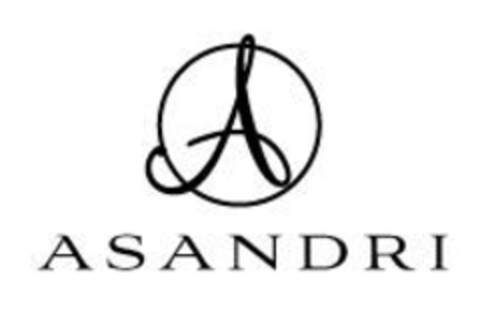 A ASANDRI Logo (IGE, 17.03.2010)