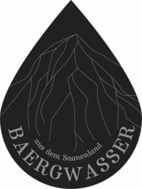 BAERGWASSER aus dem Saanenland Logo (IGE, 02/17/2009)