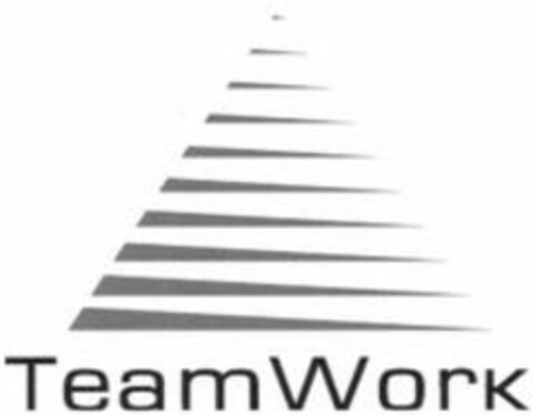 TeamWork Logo (IGE, 03/08/2007)