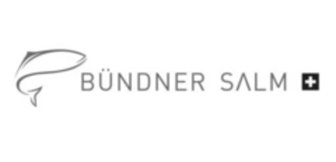 BÜNDNER SALM Logo (IGE, 20.03.2017)