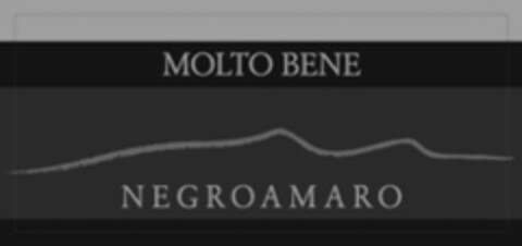 MOLTO BENE NEGROAMARO Logo (IGE, 11/16/2009)