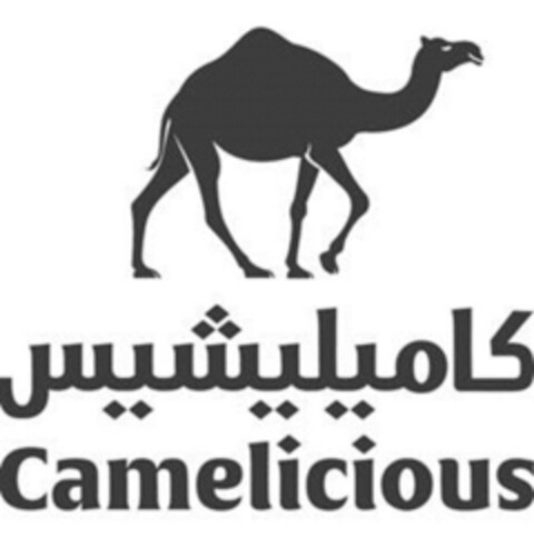 Camelicious Logo (IGE, 01/30/2024)