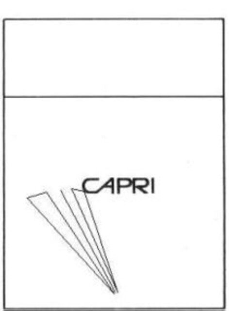 CAPRI Logo (IGE, 22.02.2008)