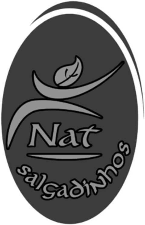 Nat salgadiNhos Logo (IGE, 14.08.2012)