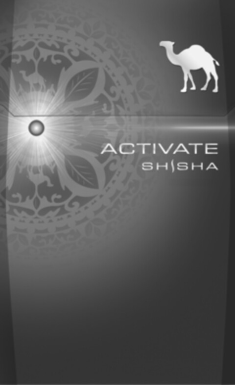 ACTIVATE SHISHA Logo (IGE, 16.09.2013)