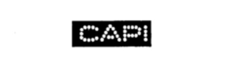 CAPI Logo (IGE, 02.03.1989)