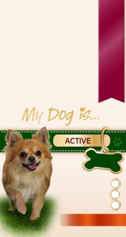 My Dog is ACTIVE Logo (IGE, 04/04/2014)