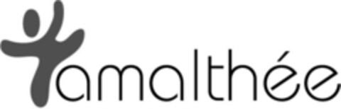 amalthée Logo (IGE, 13.10.2008)