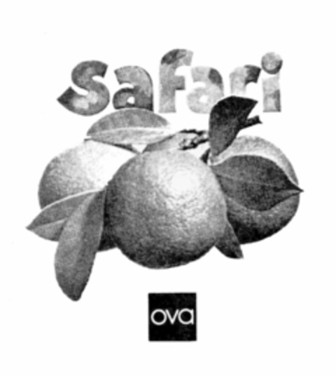 safari ova Logo (IGE, 31.05.1978)