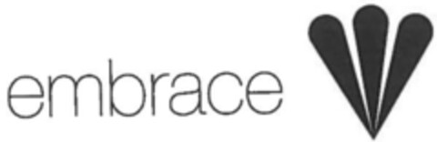 embrace Logo (IGE, 23.12.2013)