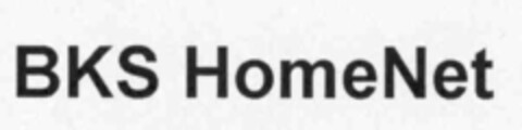 BKS HomeNet Logo (IGE, 01/28/2000)