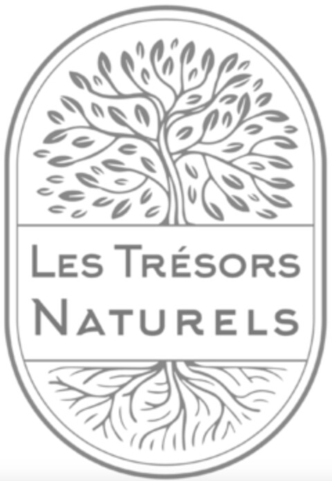 LES TRÉSORS NATURELS Logo (IGE, 22.09.2023)