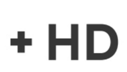 + HD Logo (IGE, 17.11.2020)