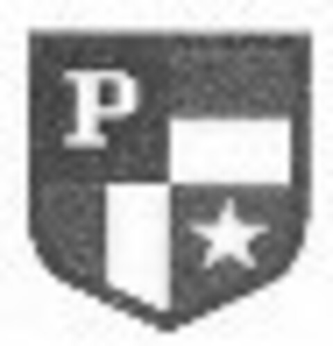 P Logo (IGE, 05/12/2006)