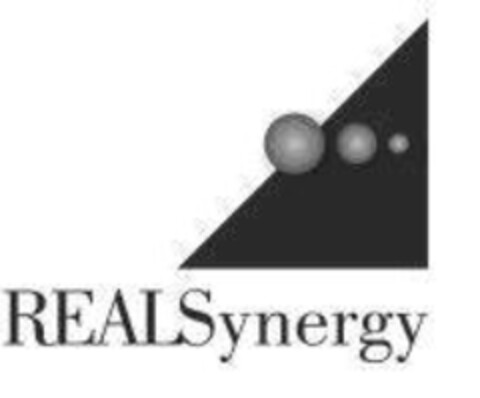 REALSynergy Logo (IGE, 19.10.2007)