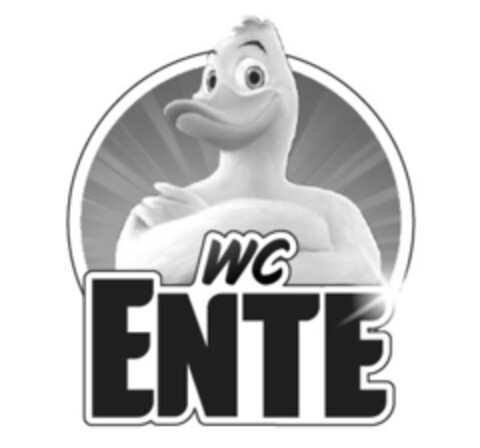 WC ENTE Logo (IGE, 04.11.2016)