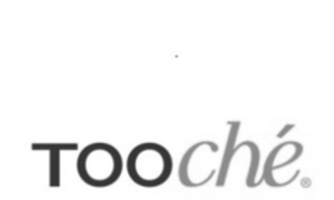TOOché Logo (IGE, 15.02.2017)