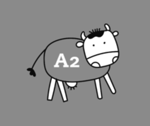A2 Logo (IGE, 12.01.2021)