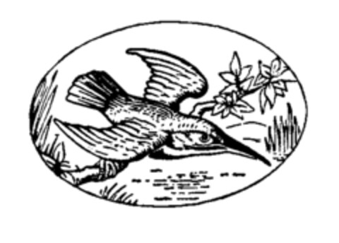  Logo (IGE, 19.04.1984)