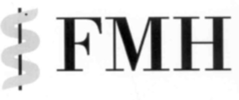 FMH Logo (IGE, 08.04.2002)