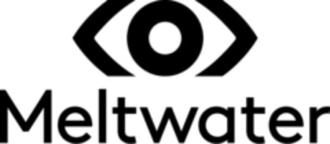 Meltwater Logo (IGE, 27.02.2015)
