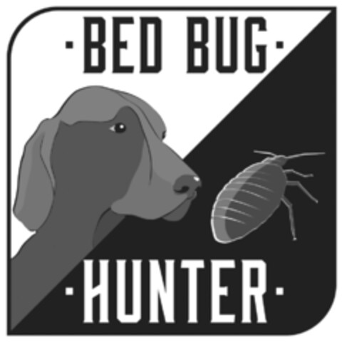 BED BUG HUNTER Logo (IGE, 10/03/2018)