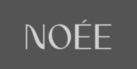 NOÉE Logo (IGE, 31.01.2024)