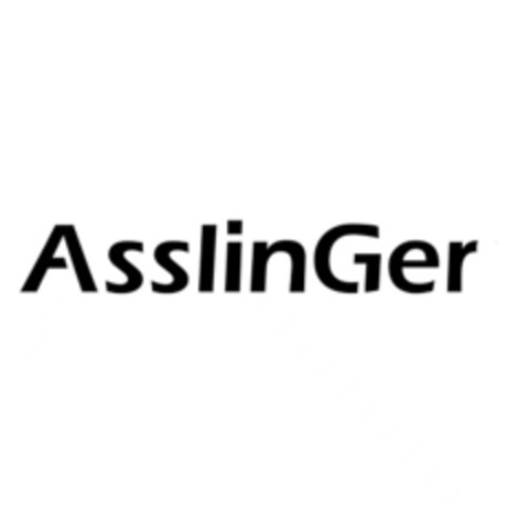 AsslinGer Logo (IGE, 14.08.2023)