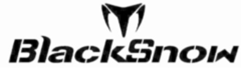 BlackSnow Logo (IGE, 03/12/2008)