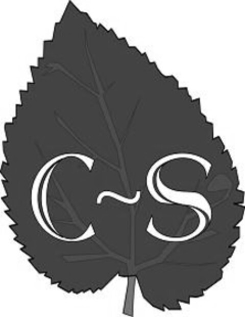 C - S Logo (IGE, 30.04.2009)