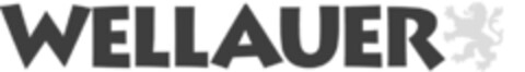 WELLAUER Logo (IGE, 16.10.2012)
